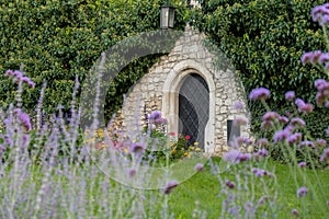Wine cellar built from stones with violet flowers on foreground in Wawel Castle Krakow, Poland. Blooming in flower bed