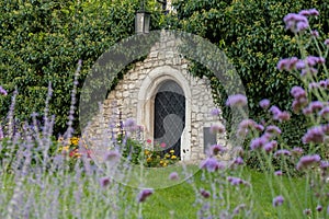 Wine cellar built from stones with violet flowers on foreground in Wawel Castle Krakow, Poland. Blooming in flower bed