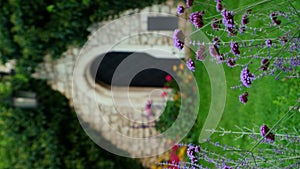 Wine cellar built from stones with violet flowers on foreground in Wawel Castle Krakow, Poland. Vertical footage