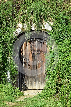 Wine cellar door at the hill side