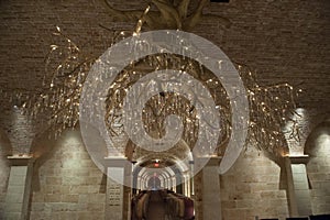 Wine cellar with exclusive chandelier, Hall Winery, Rutherford, Napa Valley, wine tasting cellar