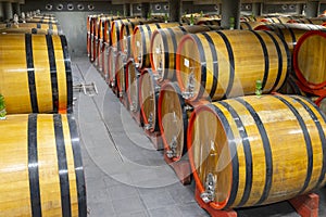 wine cellar full of wooden barrels in Barolo, Piedmont, Italy