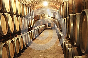 Wine cellar interior with large barrels