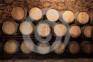 Wine cellar interior with large barrels
