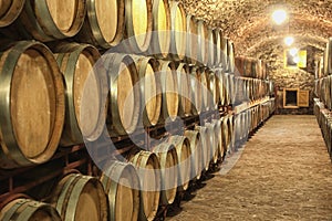 Wine cellar interior with large barrels