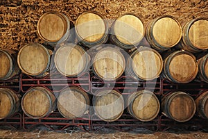 Wine cellar interior with large barrels