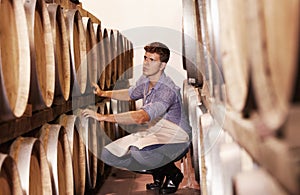 Wine, cellar and a man checking oak barrels in a warehouse for production, fermentation or storage. Wood, alcohol and