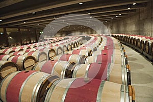 Wine cellar Opus One, Napa Valley