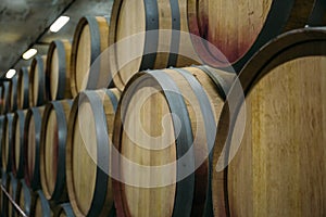 Wine cellar with rows of old wooden wine barrels, perspective, copy space