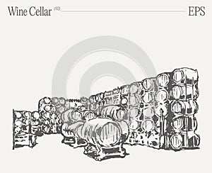 A wine cellar showcasing stacked barrels. Hand drawn vector illustration, sketch.