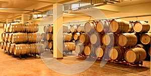 Wine cellar with wine barrels