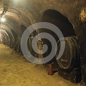 wine cellar, Winery of Oldrich Splichal and Jitka Splichalova, N