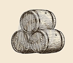 Wine cellar, winery. Wooden barrels with wine, sketch. Vintage vector illustration