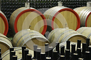 Wine cellar with wooden barrels and filled glass bottles 7