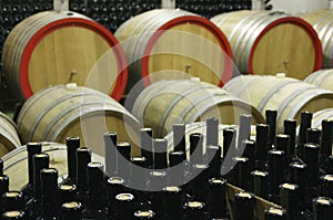 Wine cellar with wooden barrels and filled glass bottles 3