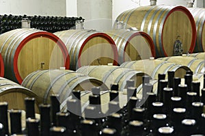Wine cellar with wooden barrels and filled glass bottles 10