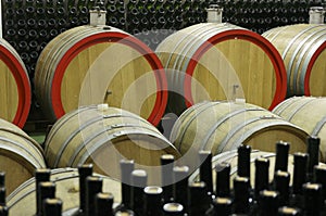 Wine cellar with wooden barrels and filled glass bottles 3