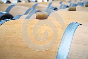 Wine cellars photo