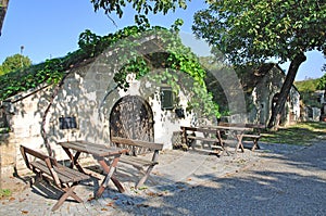 Wine Cellars,Burgenland,Austria photo