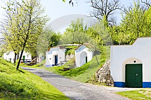 wine cellars, Petrov - Plze, Czech Republic