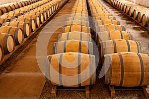 WIne celler with french oak barrels for aging of red dry wine made from Cabernet Sauvignon grape variety, Haut-Medoc vineyards in