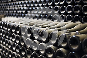 Wine or champagne bottles aged in cellar