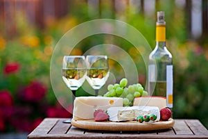 Wine & Cheese Garden Party