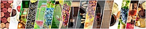 Wine Collage. A panorama of many photos of wine glasses, grapes at vineyards etc