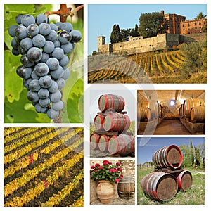 Wine collage
