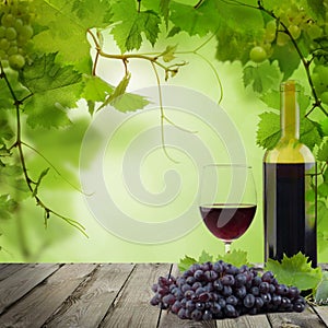 Wine concept. Bottle, glass of red wine and grapes on gray wooden background with green grapevine