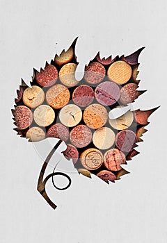 Wine concept concept