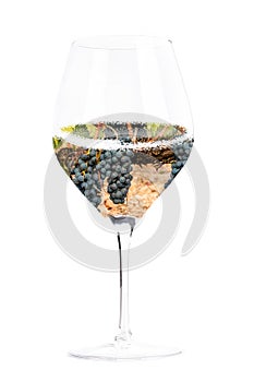 Wine concept. Vineyard in a glass collage, isolated on a white background