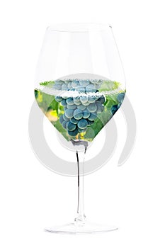 Wine concept. Vineyard in a glass creative collage, isolated on white