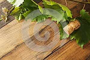 Wine cork and branch of grapes on wooden background