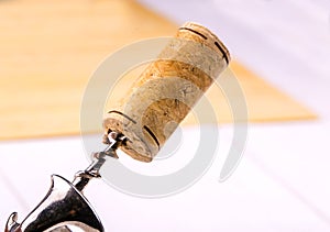 Wine cork and corkscrew close-up.