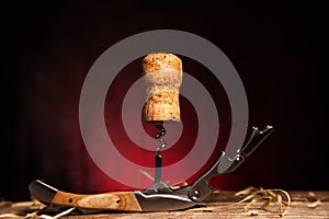 Wine cork on a corkscrew close-up. Space for text