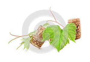 Wine cork with grape illustration and green leaves