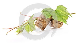 Wine cork with grape illustration and green leaves photo