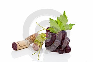 Wine cork and wine grapes.