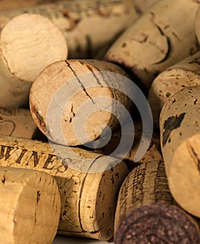 Wine Corks