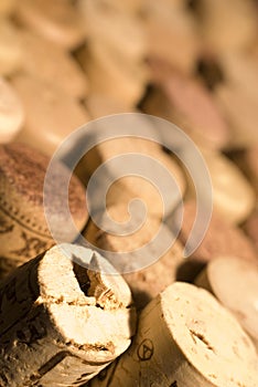 Wine Corks photo