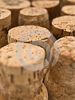 Wine corks