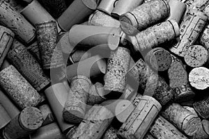 Wine Corks in Black and White