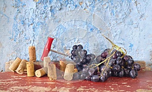 Wine corks, bunch of grapes