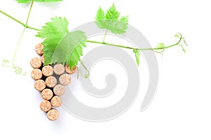 Wine corks grape shape and vine