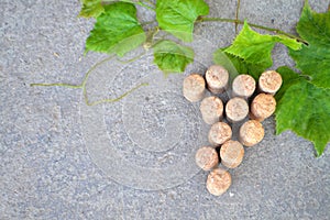 Wine corks grape shape and vine. Copyspace, on stone background