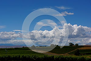 Wine Country landscape with clouds in blue sky