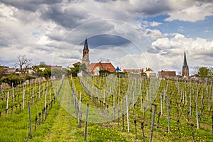 Wine country landscape in Edenkoben district of Southern Wine Route Germany