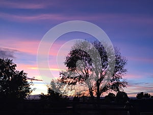 Wine Country Rural Ranch Sunset with trees and clouds