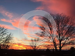 Wine Country Rural Ranch Sunset with trees and clouds